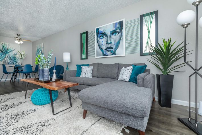 a living room with blue and gray accents and a couch at The Starburst Apartments